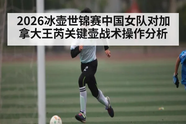 2026冰壶世锦赛中国女队对加拿大王芮关键壶战术操作分析